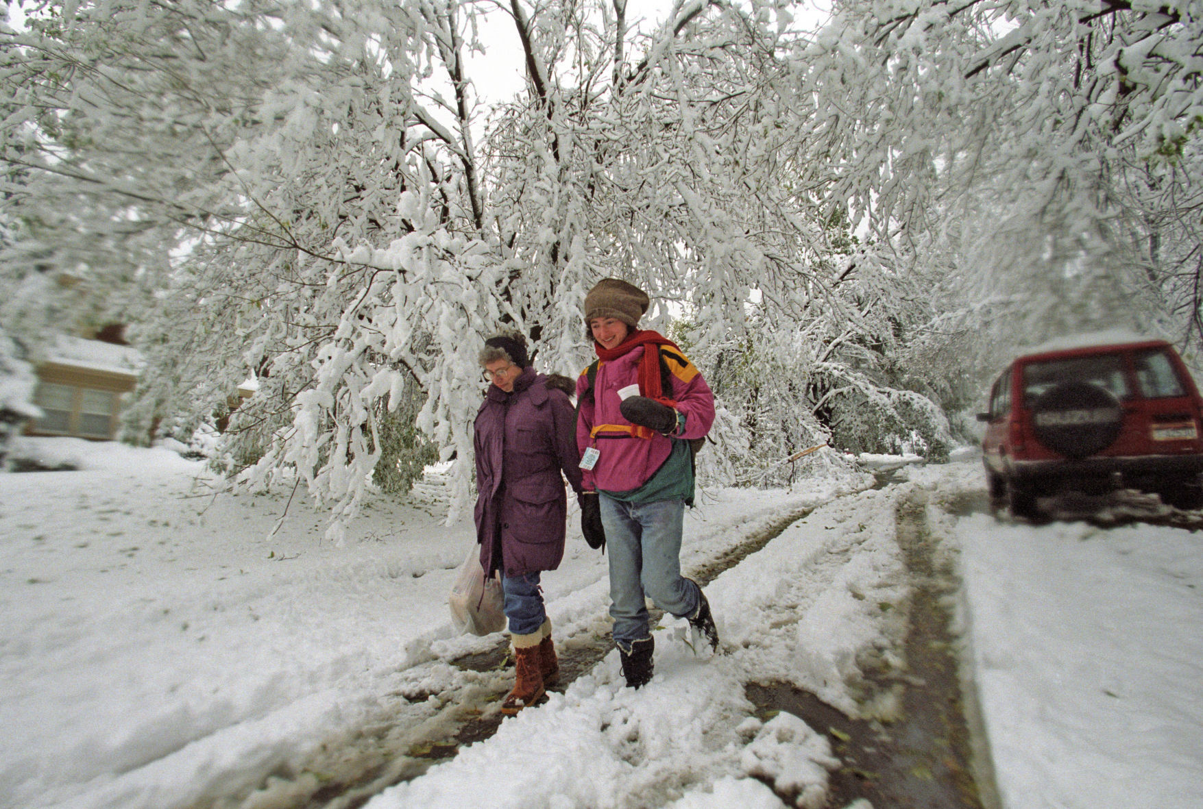 With damage to nearly two-thirds of the canopy, people worried the region would lose a major chunk of its trees. Instead, pruning would help most of those trees survive and an estimated 2 percent to 3 percent were lost.